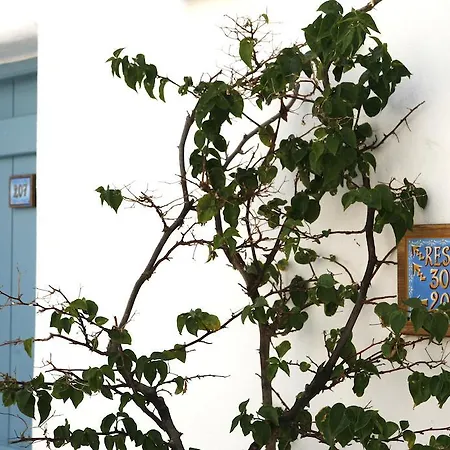 Отель Saint George Хриси-Акти